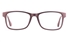 Poesia 3118 TCPG Womens Full Rim Optical Glasses