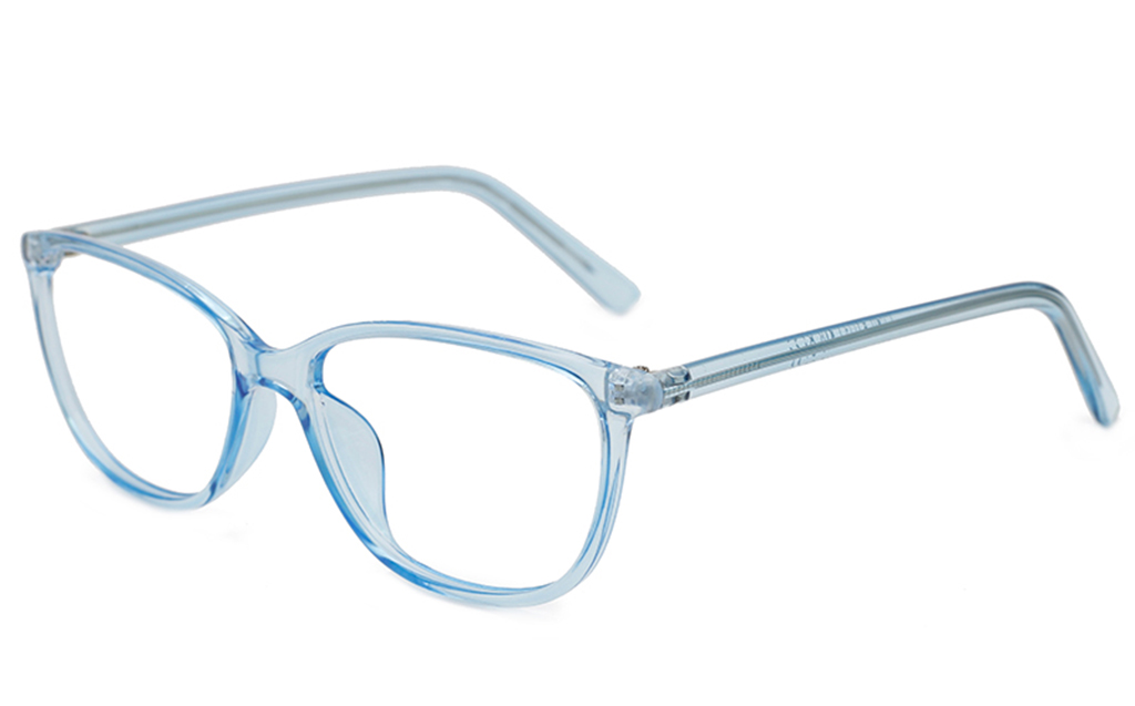 Oval Plastic Eyeglasses Frame