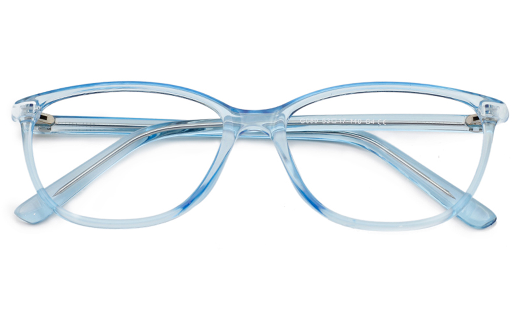 Oval Plastic Eyeglasses Frame