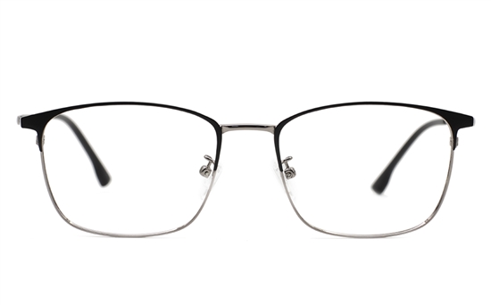 Titanium Stainless Eyeglasses