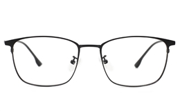 Titanium Stainless Eyeglasses