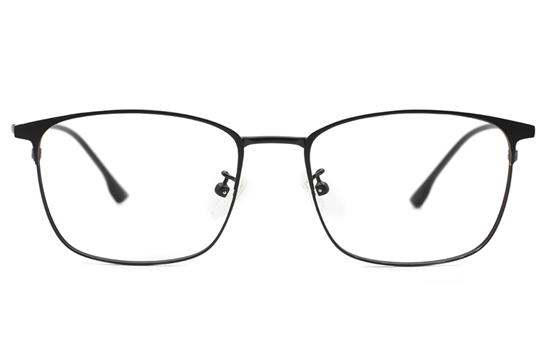 Titanium Stainless Eyeglasses