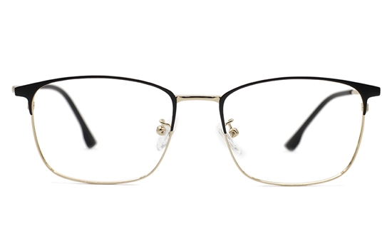 Titanium Stainless Eyeglasses