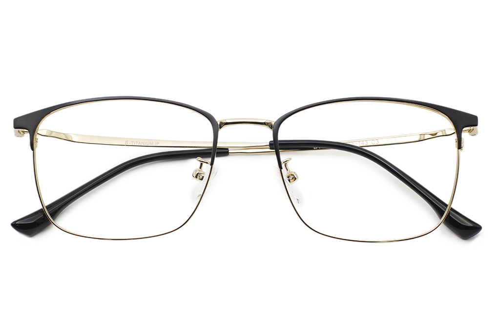 Titanium Stainless Eyeglasses