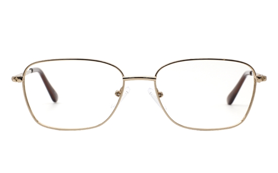 Women Prescription Glasses54-16