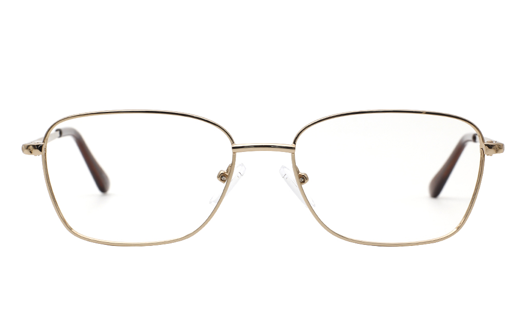 Women Prescription Glasses54-16