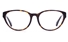 Coach HC6039F Acetate Womens Cat eye Full Rim Optical Glasses