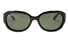 Ray-Ban 0RB4198 Acetate Womens Full Rim Sunglasses